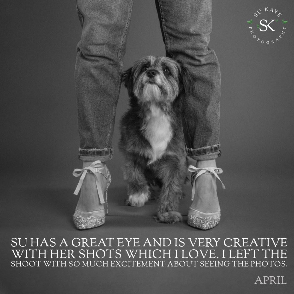 A small dog standing between a person's legs against a gray background, looking directly at the camera. text overlay praises the photographer's creativity.