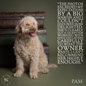 Testimonial Review Pet Portrait PHILLIPS 1 A curly-haired dog sitting on the floor with a testimonial about its caretaking skills displayed next to it.