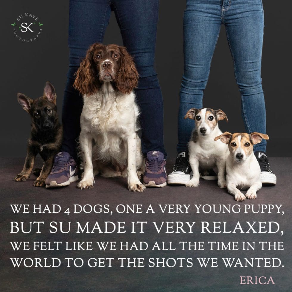 Three dogs of varying breeds sitting in front of two people, only showing from the waist down, with a testimonial text overlay about a positive photo session experience.