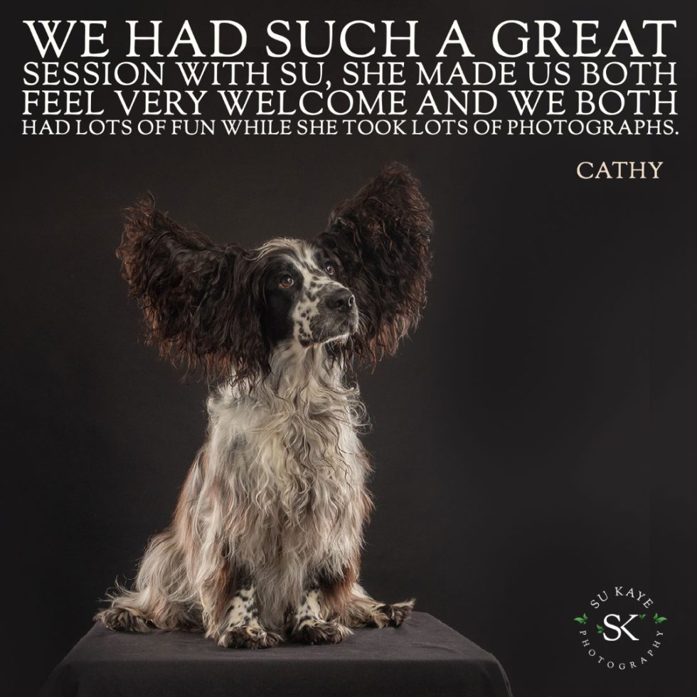 A black and white spaniel sitting attentively on a dark background with overlay text describing a positive photography session experience.