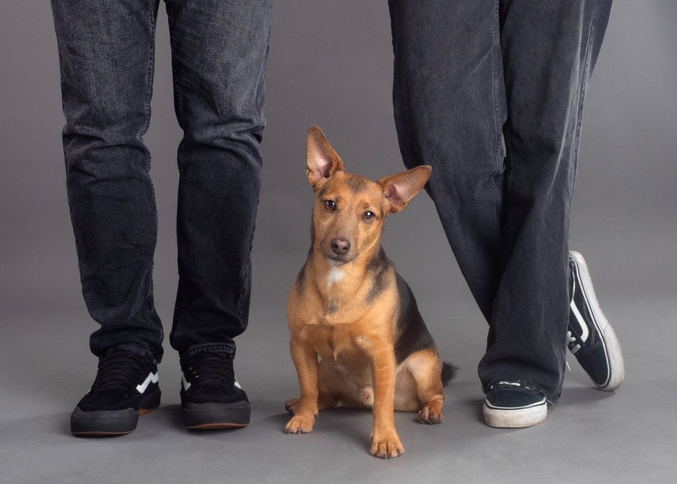 Two people in black jeans and sneakers stand beside a small brown and black dog sitting on the floor.