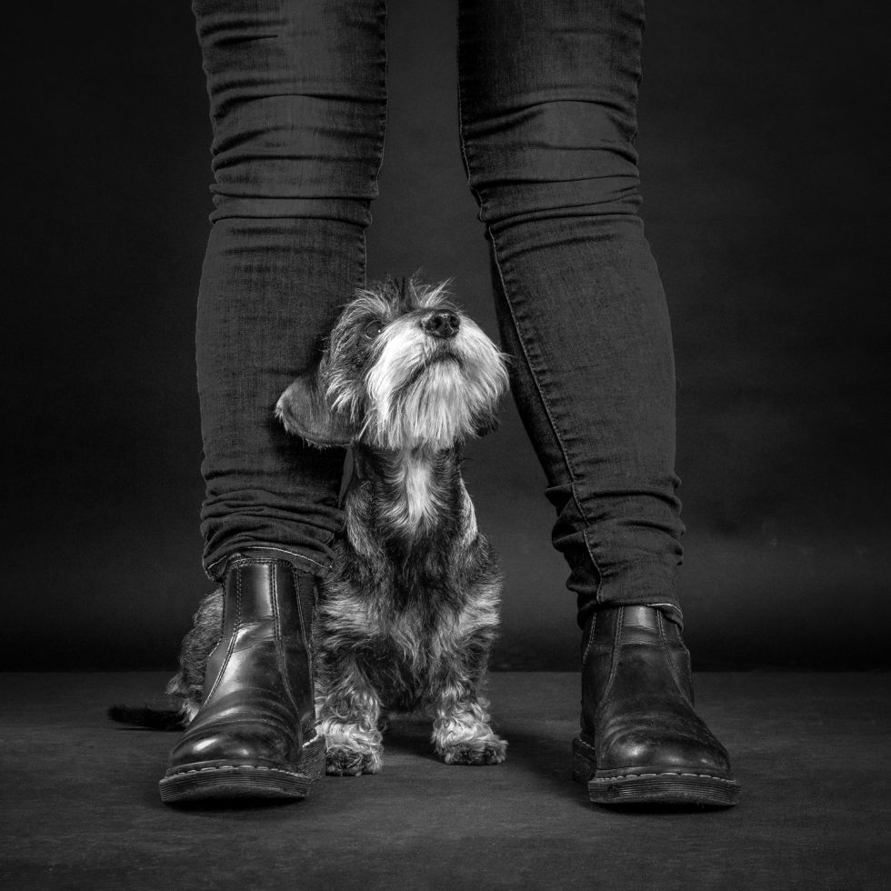 A small, scruffy dog stands between a person's legs, looking upward, against a dark background. both the person and the dog are in black and white.