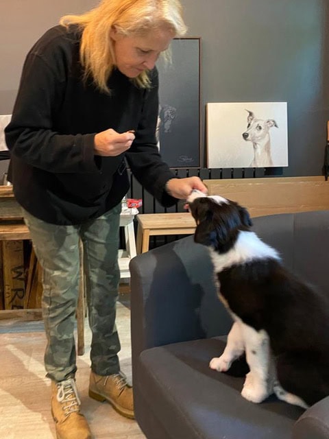 A person with long blonde hair, wearing a black shirt and camo pants, is giving a treat to a black and white puppy sitting on a chair indoors.