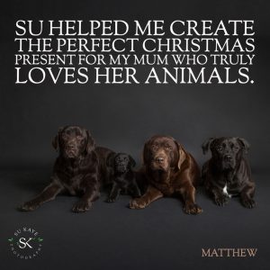 Testimonial Review Pet Portrait BURKE Labradors 1 Four dogs of different breeds are lying on a dark background beneath a text praising Su Kaye for helping create a perfect Christmas present for an animal-loving mum.
